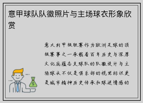 意甲球队队徽照片与主场球衣形象欣赏